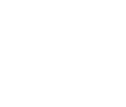 DQS Logo